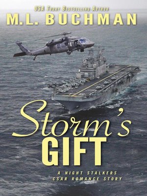 cover image of Storm's Gift